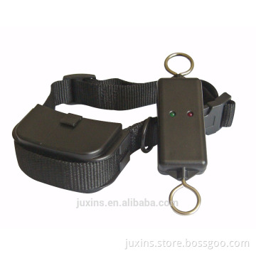 Petrainer PET899 Top Dog Shock Collars